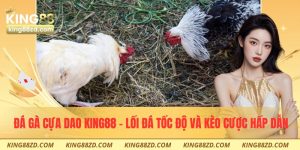 Đá gà cựa dao