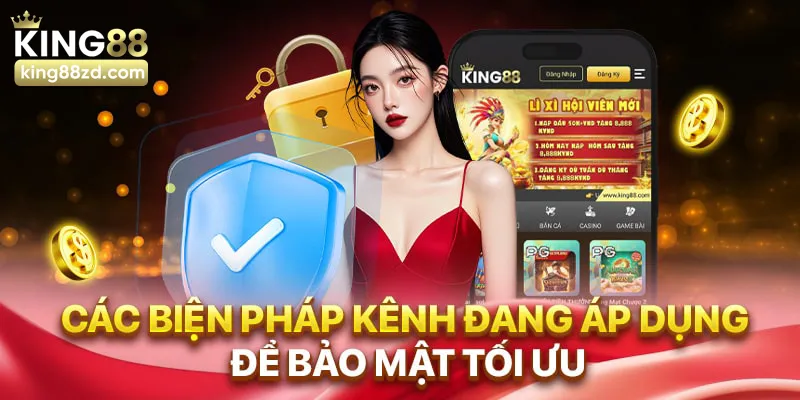 Các biện pháp đang áp dụng để tối ưu bào mật